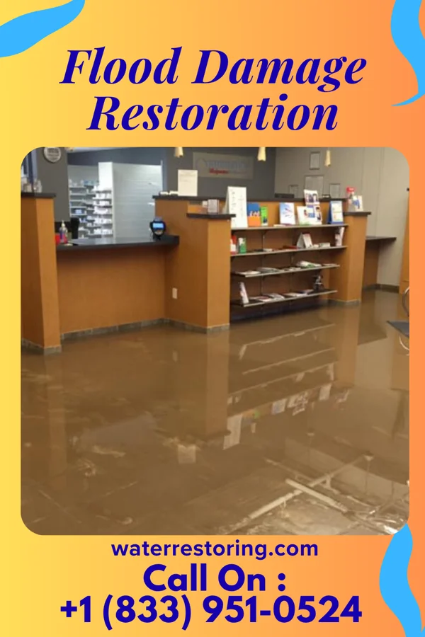 Flood Damage Restoration in Preston, NV