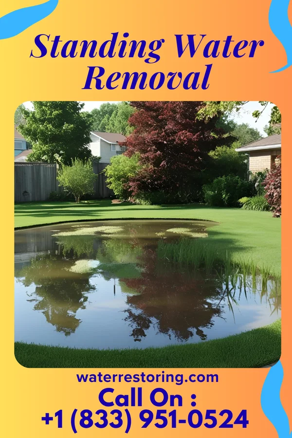 Standing Water Removal in Preston, NV